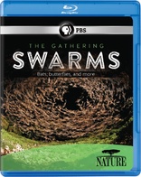 Nature: The Gathering Swarms (Blu-ray Movie)