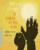 A Raisin in the Sun (Blu-ray Movie)