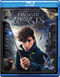 Fantastic Beasts and Where to Find Them (Blu-ray)