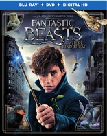 Fantastic Beasts and Where to Find Them (Blu-ray Movie)