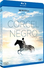 The Black Stallion (Blu-ray Movie)