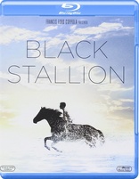 The Black Stallion (Blu-ray Movie)