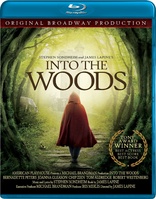 Into the Woods (Blu-ray Movie)