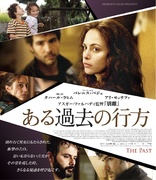 The Past (Blu-ray Movie)