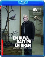 En duva satt p en gren och funderade p tillvaron (Blu-ray Movie)