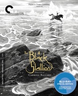 The Black Stallion (Blu-ray Movie)