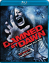 Damned by Dawn (Blu-ray Movie)