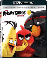 The Angry Birds Movie 4K + 3D (Blu-ray)