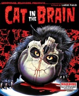 Cat in the Brain (Blu-ray Movie)