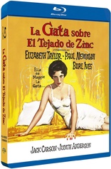 Cat on a Hot Tin Roof (Blu-ray Movie)