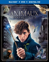 Fantastic Beasts and Where to Find Them (Blu-ray Movie)