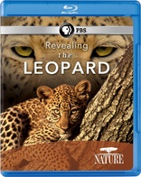 Nature: Revealing the Leopard (Blu-ray Movie)