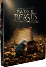 Fantastic Beasts and Where to Find Them (Blu-ray Movie)