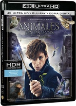 Fantastic Beasts and Where to Find Them 4K (Blu-ray Movie)