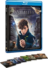 Fantastic Beasts and Where to Find Them (Blu-ray Movie)