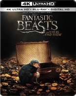 Fantastic Beasts and Where to Find Them 4K (Blu-ray Movie)