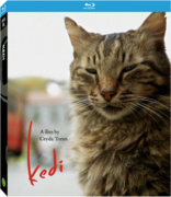 Kedi (Blu-ray Movie)