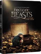 Fantastic Beasts and Where to Find Them (Blu-ray Movie), temporary cover art