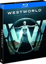 Westworld: The Complete First Season (Blu-ray Movie)