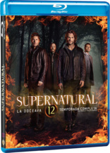 Supernatural: The Complete Twelfth Season (Blu-ray Movie)