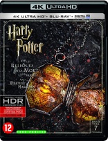 Harry Potter and the Deathly Hallows: Part 1 4K (Blu-ray Movie)