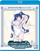 Is it Wrong to Expect a Hot Spring in a Dungeon? (Blu-ray Movie)