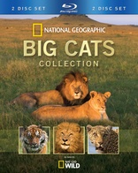 Big Cats Collection (Blu-ray Movie)
