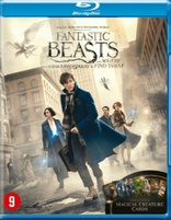 Fantastic Beasts and Where to Find Them (Blu-ray Movie), temporary cover art