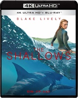 The Shallows 4K (Blu-ray Movie)