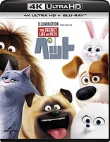 The Secret Life of Pets 4K (Blu-ray Movie)