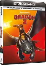 How to Train Your Dragon 2 4K (Blu-ray Movie)