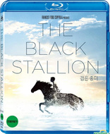 The Black Stallion (Blu-ray Movie)