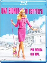 Legally Blonde 2: Red, White, and Blonde (Blu-ray Movie)