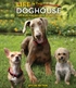 Life in the Doghouse (Blu-ray Movie)