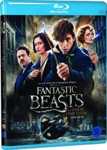 Fantastic Beasts and Where to Find Them (Blu-ray Movie), temporary cover art