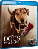 A Dog's Way Home (Blu-ray Movie)