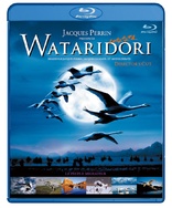 Winged Migration (Blu-ray Movie)