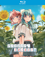 Please Twins!: Complete Collection (Blu-ray Movie)