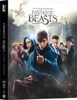 Fantastic Beasts and Where to Find Them 3D (Blu-ray Movie)