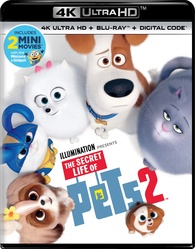 The Secret Life of Pets 2 4K (Blu-ray)