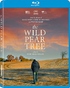 The Wild Pear Tree (Blu-ray Movie)