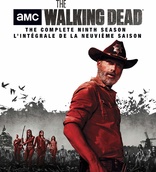 The Walking Dead: The Complete Ninth Season (Blu-ray Movie)