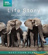 Life Story (Blu-ray Movie)