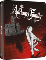 The Addams Family (Blu-ray Movie)