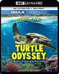Turtle Odyssey 4K (Blu-ray)
