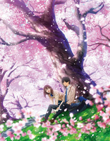 I Want to Eat Your Pancreas (Blu-ray Movie)