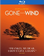 Gone with the Wind (Blu-ray Movie)