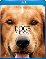 A Dog's Purpose (Blu-ray Movie)