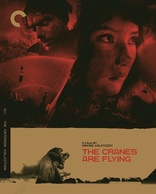 The Cranes Are Flying (Blu-ray Movie)