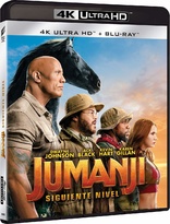 Jumanji: The Next Level 4K (Blu-ray Movie)